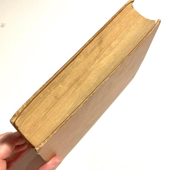 ANTIQUE: “Robinson Crusoe” by Daniel DeFoe, 1920 - Picture 10 of 10